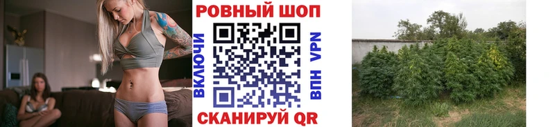 Купить наркотики сайты Грайворон Кокаин  Меф мяу мяу  Альфа ПВП  Каннабис  ГАШ 