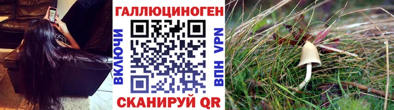 Галлюциногенные грибы Magic Shrooms  Грайворон 